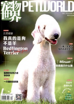宠物天下杂志