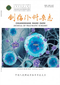 创伤内科杂志