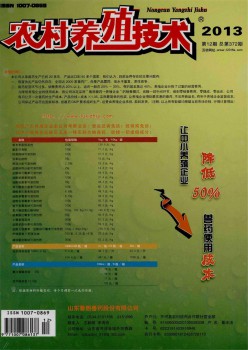 乡村养殖手艺杂志