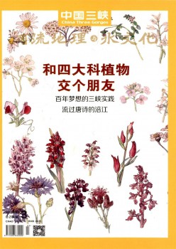 中国三峡扶植杂志