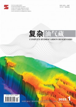 庞杂油气藏杂志