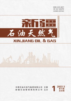 新疆煤油自然气杂志
