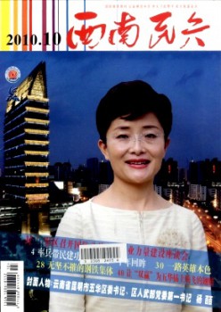 东北民兵杂志