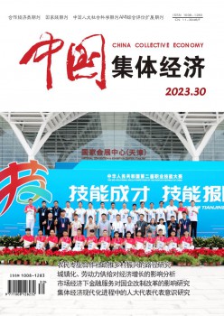 中国个人经济杂志